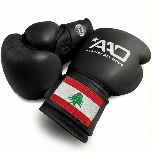 Lebanon boxing gloves - |, aao