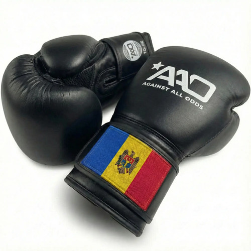 Moldova boxing gloves aao - |,