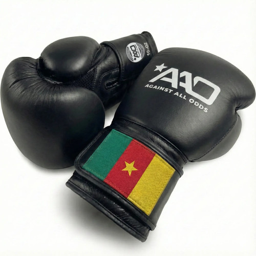 Cameroon boxing gloves aao - boxing,