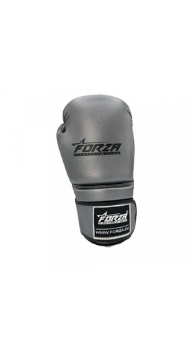 Forza 16oz silver - forza,