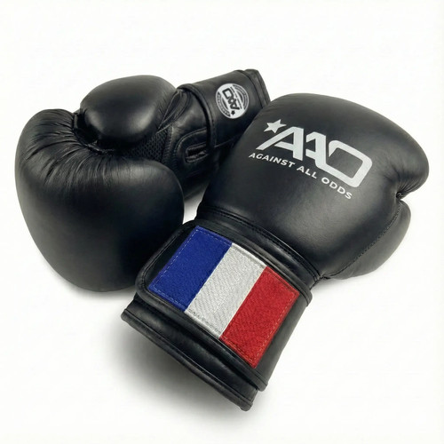 France boxing gloves - gloves, aao
