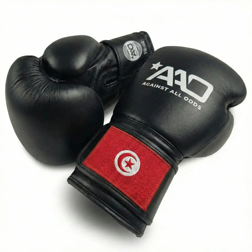Tunisia boxing gloves aao - boxing,