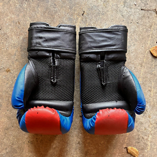 Everlast training boxing - everlast,