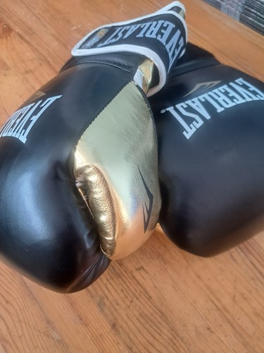 Everlast powerlock hook - everlast, &