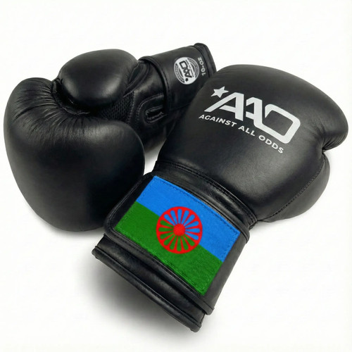 Sinti boxing gloves aao - sinti,